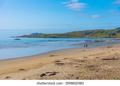 Beach At Kaka Point In New Zealand