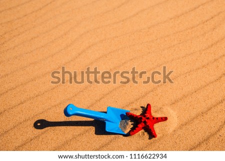 Shovel and starfish on the beach