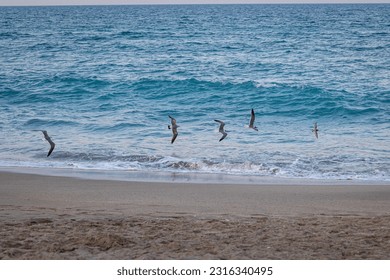 A beach is a landform alongside a body of water which consists of loose particles mainly sand.  There are walkways and natural forms found near beaches.  - Powered by Shutterstock