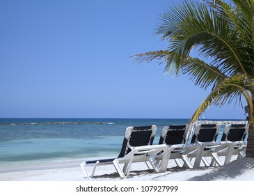 Beach landscape with chairs and palm tree, Montego Bay, Jamaica