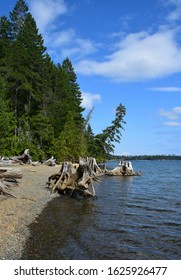 Beach Landscape Comox Lake, Comox Valley Vancouver Island, BC Canada