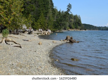 Beach Landscape Comox Lake, Comox Valley Vancouver Island, BC Canada