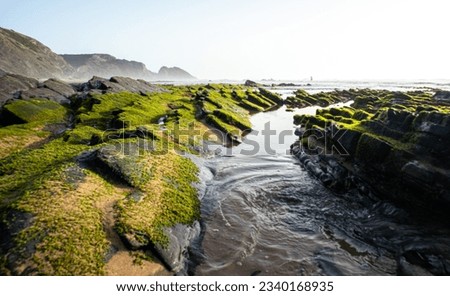 beach landscape with mossy rocks and low tide at sunset, water flowing between the mossy rocks of a beach in the late afternoon