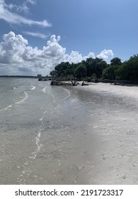 Beach Landscape In Southwest Florida