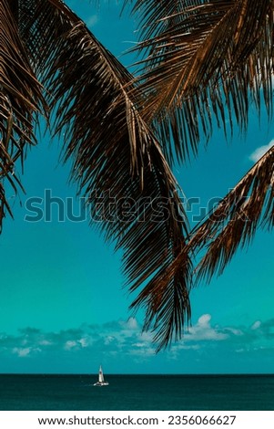 A beach with leaning palm trees presents a captivating tropical scene. The palm trees, gracefully tilted by ocean breezes, offer shade and a sense of relaxation for beachgoers. 