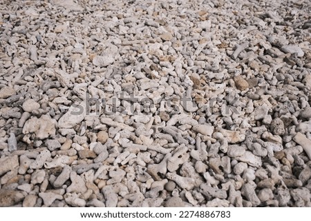 Beach made of bleached coral pieces and shell fragments in the Whitsundays in Australia, detailed closeup top view abstract