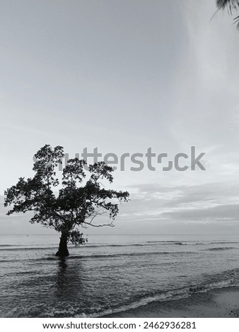 the beach with its memories