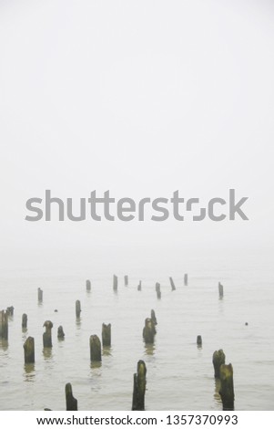 Similar – Silhouettes in low tide