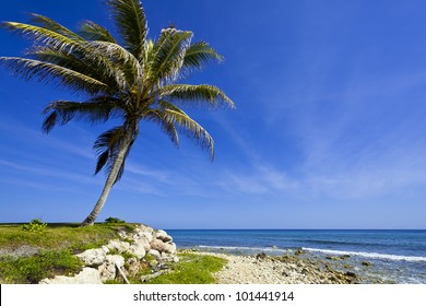 Beach In Montego Bay, Jamaica