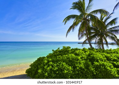 Beach In Montego Bay, Jamaica