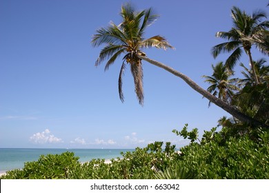 Beach Of Naples, Florida