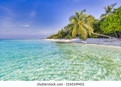 21,902 Dreamy beach Images, Stock Photos & Vectors | Shutterstock