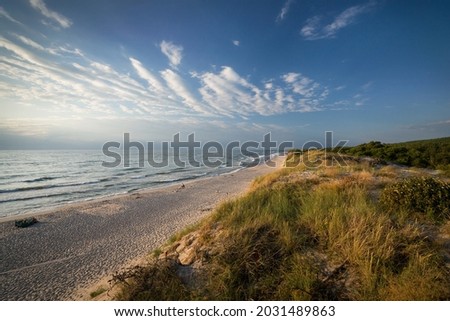 Beach near dune Efa, Curonian spit, Russia