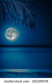 Beach at night with a  full moon reflecting on the water and a coconut palm on the foreground toned in blue shades