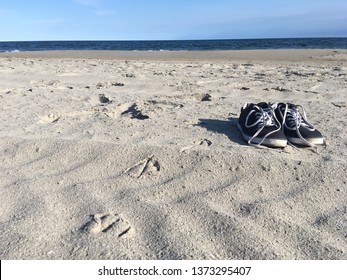 Beach in NYC