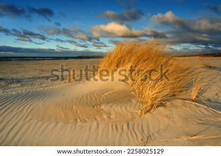 Similar – Landschaft mit Dünen auf der Insel Amrum