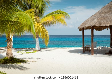 Beach On Cozumel Island, Mexico