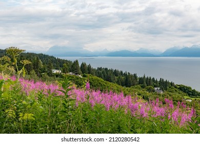 Beach On Homer Spit Alaska