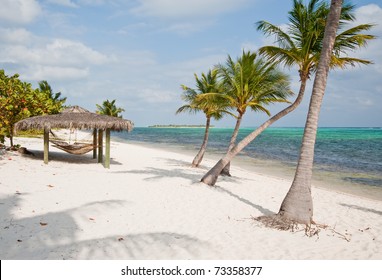 Beach On Little Cayman Island