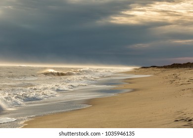 Beach On Martha's Vineyard 
