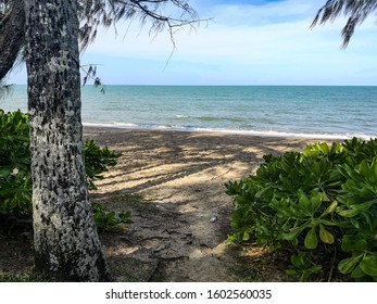 Beach In Palm Cove, Cairns, Australia