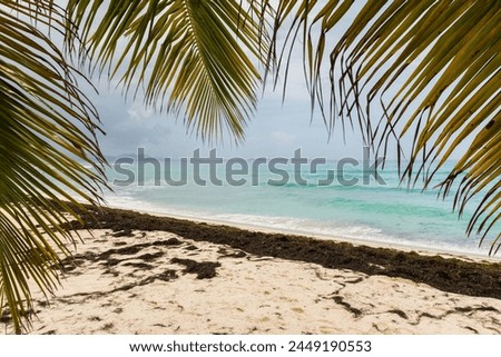 A beach with a palm tree in the foreground and a body of water in the background. The palm tree is partially visible, and the water is a beautiful shade of blue. The scene is serene and peaceful