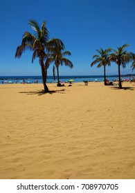 Beach with palm trees