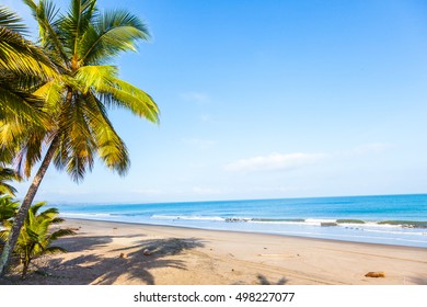 Beach with palm trees and calm sea in sunny day - Shutterstock ID 498227077