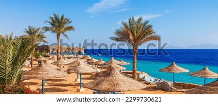 Beach and palm trees on Red Sea in Sharm el Sheikh, Sinai, Egypt