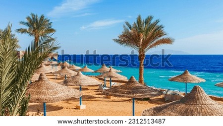 Beach and palm trees on Red Sea in Sharm el Sheikh, Sinai, Egypt