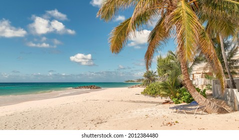 Beach With Palm Trees And Rocks, Anse Lazio Beach On Praslin Island, Beach Lifestyle, Beach With Blue Lagoon And Palm Trees HD