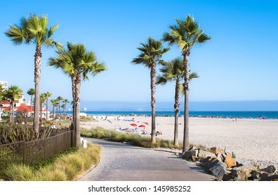Beach and Palm Trees in San Diego, Southern California Coast, USA