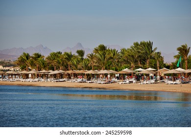 15,986 Palm tree israel Images, Stock Photos & Vectors | Shutterstock