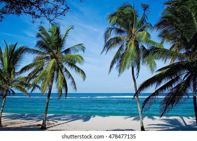 Beach With Palms In Kenya, Tiwi Beach