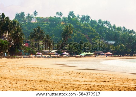 Beach with palms, beach loungers and sun-umbrellas in hot season