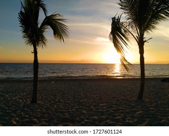 Beach With Palms In Sundawn