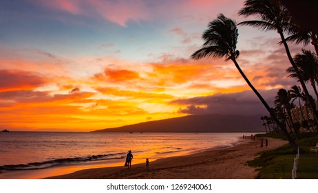 Beach and palms trees at sunset at Sugar Beach Kihei Maui Hawaii USA