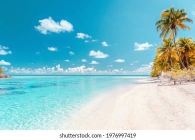 Beach paradise travel vacation tropical getaway in Rangiroa atoll, Tuamotu islands, French Polynesia. Tahiti honeymoon destination with idyllic pristine ocean crystal clear turquoise water.