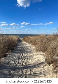 Beach Path To The Delaware Bay
