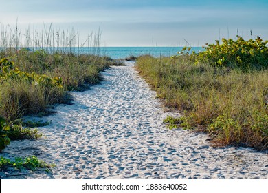 Beach Path in the Sand Between Beach Grass