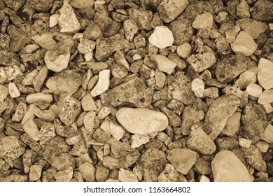 Beach Pebble close up