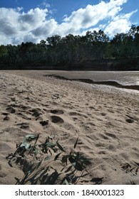 Beach Photo At Wagga Wagga 