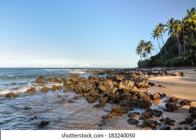 Beach of Pipa, with cliffs and palms in background, Natal (Brazil)