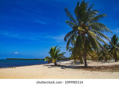 Beach In Placencia, Belize