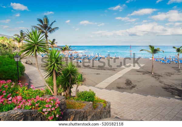 Beach Playa Jardin Puerto De La Stock Photo Edit Now 520182118