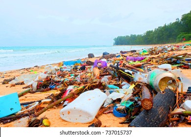 Beach Pollution, Plastic And Waste From Ocean On The Beach