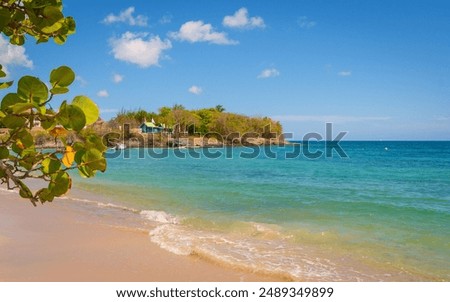Beach of Pont Café in Sainte Luce without person, Martinique, French Antilles.	