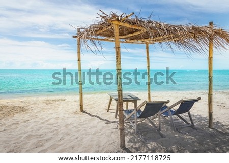 Similar – Image, Stock Photo Tropical sunset at Praia Emilia with silhouetted palm trees