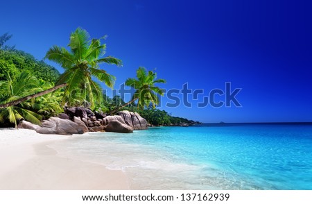 Similar – Image, Stock Photo Trees and rocks in the fog