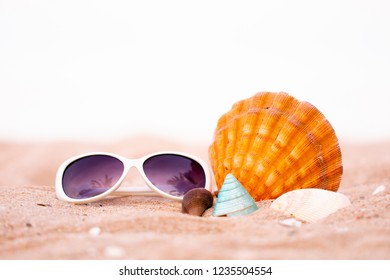 Beach Props On The Beach Sand For Holiday Concept 